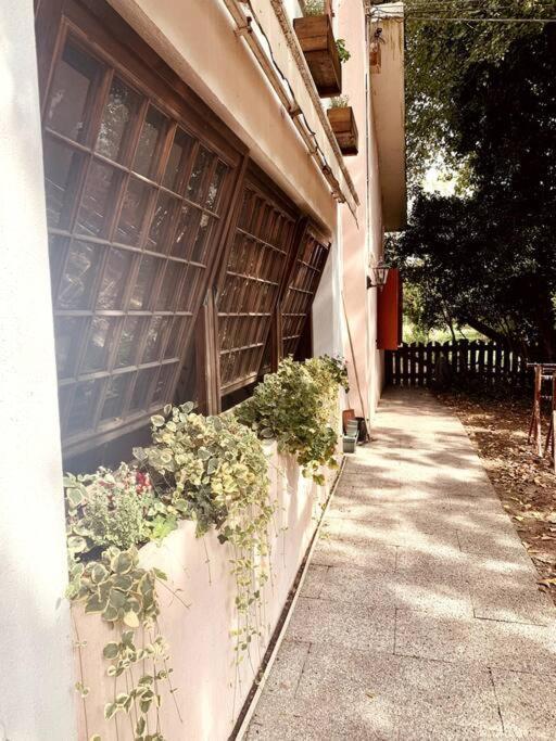 Canton Raffinatezza Rustica Nella Campagna Veneziana公寓 外观 照片